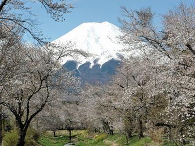 Pension Sumomo No Ki Oshino Exterior foto